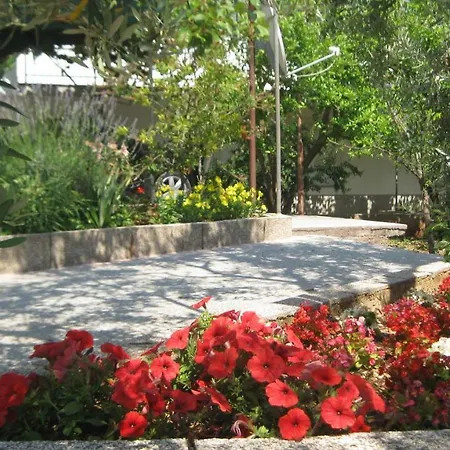 Maslina Apartament *