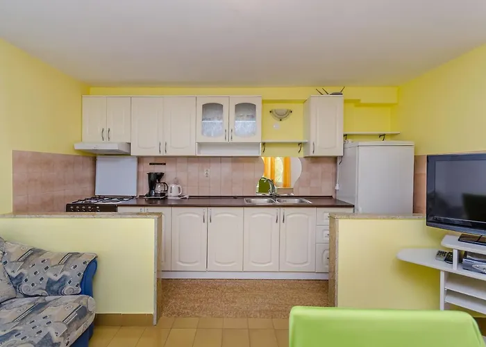 Maslina * Τρογκίρ