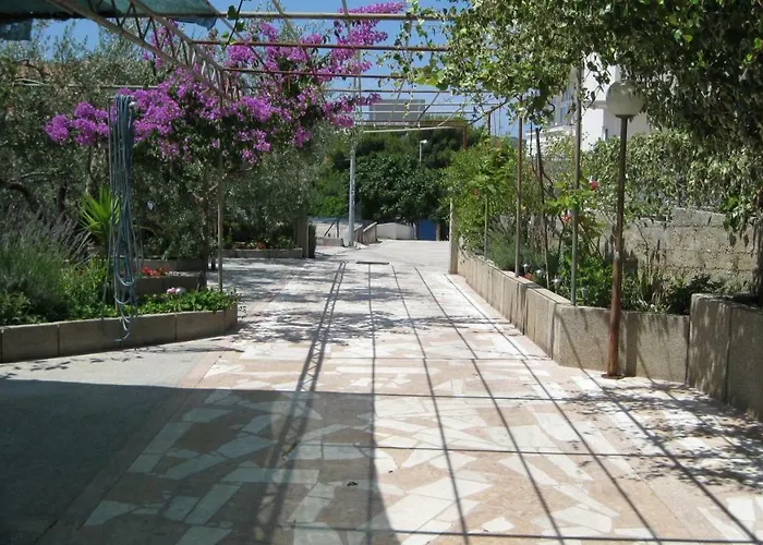 Maslina * Τρογκίρ