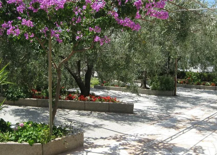 Maslina Apartament Trogir