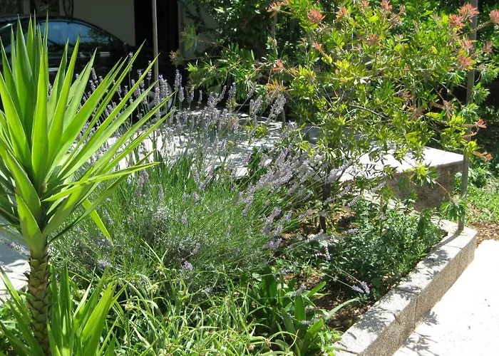 Apartament Maslina Trogir