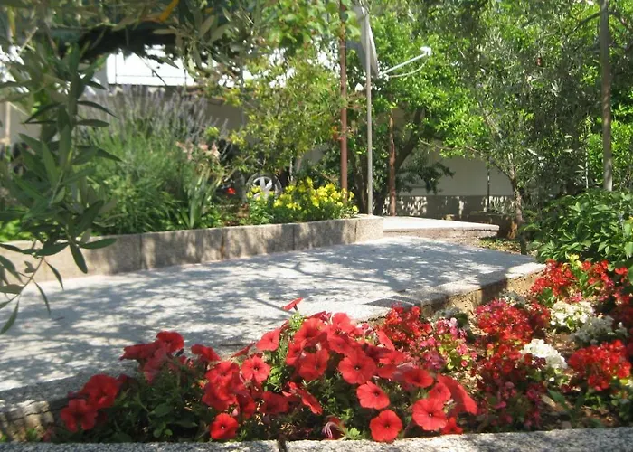 Maslina Apartament *