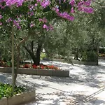 Maslina Апартаменти Трогір