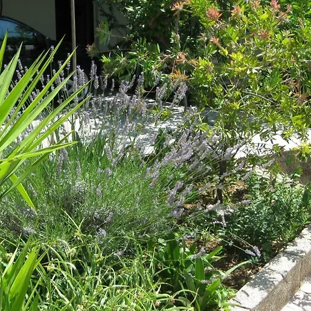 דירה Maslina טרוגיר